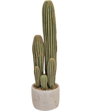 De Kunst Cactus 59 cm heeft drie lange, groene, geribbelde stengels van verschillende hoogte in een eenvoudige witte ronde pot, weergegeven op een witte achtergrond.