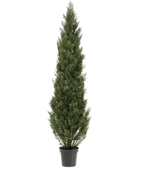 De Kunstplant Conifeer UV 180 cm is een hoge, smalle kunstdennenboom met dicht groen gebladerte in een kleine zwarte pot, tegen een effen witte achtergrond.