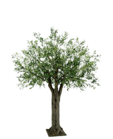 De Kunst Olijfboom Giant met olijven 250 cm heeft een dikke stam en dicht, groen gebladerte en staat rechtop op een witte achtergrond om onderhoudsvriendelijke kunstplant en Mediterrane luxe in elke ruimte te brengen.