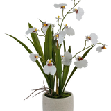 De Kunst Oncidium Real Touch 48 cm wit heeft levensechte witte orchideeën met groene bladeren, prachtig gerangschikt in een eenvoudige, ronde, lichtgekleurde pot van keramiek.
