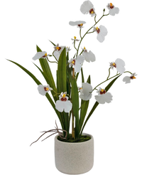 Oncidium artificiel Real Touch 48 cm blanc