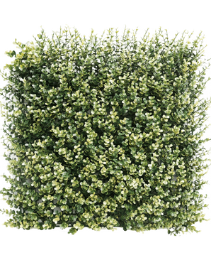 De Kunsthaag Buxus beige 50x50 cm UV is een vierkant paneel met dicht, kunstgroen gebladerte met kleine, afgeronde blaadjes voor een weelderige, gestructureerde look tegen een witte achtergrond.