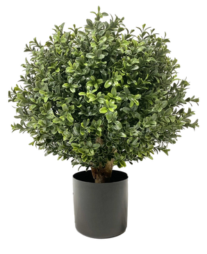 De Kunst Buxus op stam UV d30 cm is een ronde, weelderig groene kunstplant met kleine blaadjes in een zwarte pot. Een UV-zonnepictogram in de hoek geeft aan dat hij UV-bestendig is. De achtergrond is effen wit.