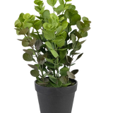De Kunstplant Vicks 33 cm is een groenbladige kunstplant met ronde bladeren in een eenvoudige zwarte pot, tegen een effen witte achtergrond.