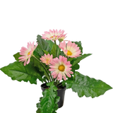 De Kunstplant Gerbera UV 28 cm roze heeft een kleine zwarte pot met levendige kunstroze gerberabloemen en weelderige groene bladeren, tegen een effen witte achtergrond.