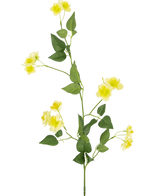 De Kunstbloem Boterbloem 77 cm heeft een enkele groene steel met meerdere takken, groene bladeren en delicate gele bloemen-ideaal voor kunstbloemen decor of het creëren van een boeket samenstellen tegen een witte achtergrond.