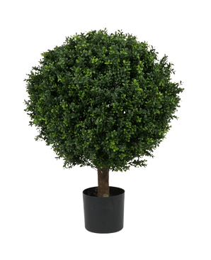 De Kunstplant Buxus op stam romeinse stijl UV 85cm is een ronde, weelderig groene kunstvorm met dichte bladeren in de vorm van een bal, in een kleine zwarte pot tegen een effen witte achtergrond.