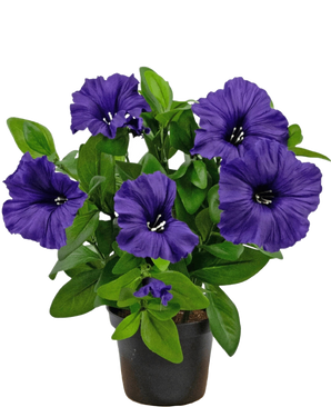 De Kunstbloem Petunia plant 25 cm paars heeft een groene bladplant met verschillende grote, levendige paarse bloemen in volle bloei en donkere harten, in een kleine zwarte pot tegen een witte achtergrond.