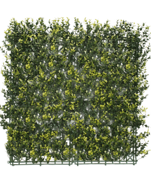 De Kunsthaag Buxus geel 50x50 cm UV is een vierkant kunsthaagpaneel met kleine, dichte geelgroene bladeren op een kunststof rooster, perfect voor het creëren van een realistische verticale tuin of privacyscherm.