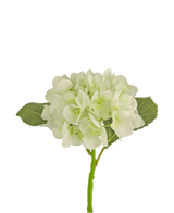 De Kunstbloem Hortensia 34 cm wit heeft een enkele witte kunsthortensia met bloemblaadjes en twee brede groene bladeren, tegen een effen witte achtergrond.