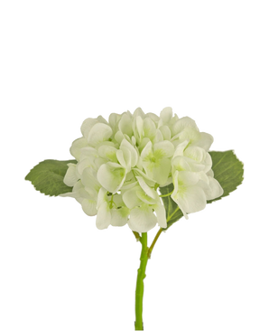 De Kunstbloem Hortensia 34 cm wit heeft een enkele witte kunsthortensia met bloemblaadjes en twee brede groene bladeren, tegen een effen witte achtergrond.