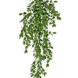 De Kunst hangplant Jasmin 70 cm heeft dichte trossen kleine groene blaadjes die op natuurlijke wijze naar beneden vallen en een weelderig, draperend effect creëren tegen een witte achtergrond.