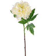 De Kunstbloem Pioen 61 cm wit is een witte kunstpioen met gelaagde bloemblaadjes en groene blaadjes op een lange bruine steel, tegen een witte achtergrond.