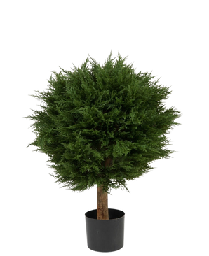 De Kunstplant Conifeer Deluxe UV 80 cm heeft dicht, rond groen blad op een enkele rechte stam, gepresenteerd in een zwarte pot tegen een witte achtergrond.
