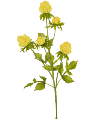 Fleur artificielle Chardon 66 cm crème