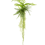 De Kunst hangplant Varen 90 cm heeft weelderige groene varenbladeren met lange, slepende stengels die naar beneden hangen tegen een effen witte achtergrond.
