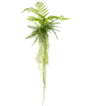 De Kunst hangplant Varen 90 cm heeft delicate, vederlichte groene varenbladeren en lange, slepende stengels die prachtig in elkaar overlopen, perfect om een vleugje natuur toe te voegen aan elke ruimte.