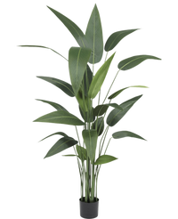 Plante artificielle Héliconia 160 cm