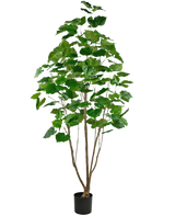 De Kunstplant Ficus 210 cm is een hoge kunstplant met slanke bruine stengels en grote heldergroene bladeren, in een kleine zwarte pot tegen een witte achtergrond.