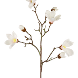 De Kunstmagnoliatak Real Touch Wit 98cm heeft een enkele bruine steel met meerdere takken, elk met witte magnoliabloemen en knoppen met een gele kern, prachtig weergegeven tegen een effen witte achtergrond.