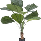 De Kunstplant Lucuala Grandis 120 cm heeft grote, waaiervormige groene bladeren en meerdere stelen in een eenvoudige zwarte pot, tegen een effen witte achtergrond.