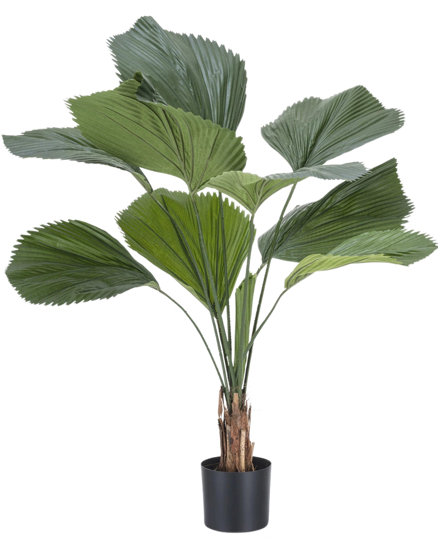 De Kunstplant Lucuala Grandis 120 cm heeft grote, waaiervormige groene bladeren en meerdere stelen in een eenvoudige zwarte pot, tegen een effen witte achtergrond.