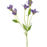 Het Kunstbloem Grasklokje 62 cm paars heeft een enkele groene steel met meerdere takken, elk versierd met delicate paarse bloemen en groene bladeren, tegen een effen witte achtergrond.