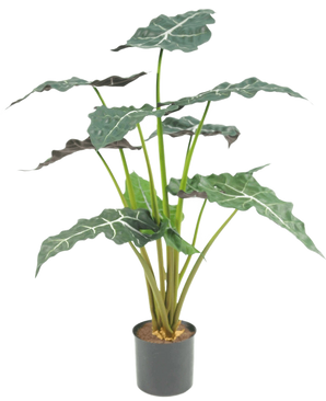 De Kunstplant Alocasia UV 67 cm is een potplant met grote, donkergroene, pijlvormige bladeren en opvallende witte nerven, tegen een effen witte achtergrond.