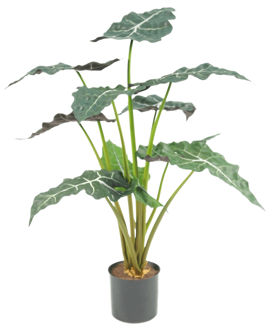De Kunstplant Alocasia UV 67 cm is een kunstpotplant met grote, donkergroene, pijlvormige bladeren en opvallende witte nerven, afgebeeld tegen een effen witte achtergrond.