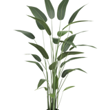 Kunstplant Heliconia 180 cm met lange, slanke groene bladeren in een zwarte pot op een witte achtergrond-een stijlvolle keuze voor wie kunstplanten koopt of realistische kunstplanten aan het interieur wil toevoegen.
