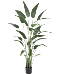 Plante artificielle Héliconia 180 cm