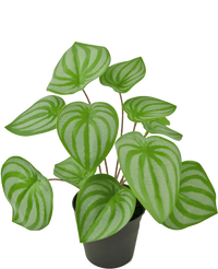 Kunstplant Watermeloen 29 cm