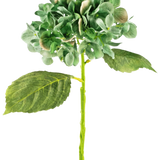 De Kunst Hortensia Deluxe 33 cm donkergroen heeft een enkele langstelige groene hortensia met twee grote bladeren en een volle ronde tros bloemblaadjes, tegen een effen witte achtergrond.