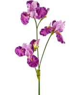 De Kunstbloem Iris 102 cm paars heeft een steel met drie bloeiende paarse en witte irisbloemen geaccentueerd met geel, tegen een witte achtergrond.