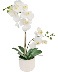 Orchidée artificielle Real Touch 30 cm blanche