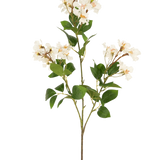 De Kunstbloem Lagerstroemia 92 cm wit heeft een hoge stengel met trossen kleine witte bloemen en groene bladeren, perfect om blijvende schoonheid toe te voegen aan elke ruimte. Ideaal als opvallende kunstplant tegen een effen witte achtergrond.