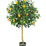 De Kunst sinaasappelboom 120 cm van Easyplants heeft weelderige groene bladeren en veel fel oranje vruchten, weergegeven in een pot tegen een effen witte achtergrond.