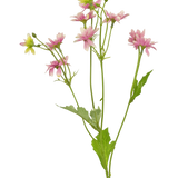 De Kunstbloem Madelief 55 cm roze is een kunstbloem met een enkele groene steel met verschillende takken, elk versierd met delicate roze en witte margrietachtige bloemen en gekartelde groene bladeren, afgebeeld tegen een witte achtergrond.