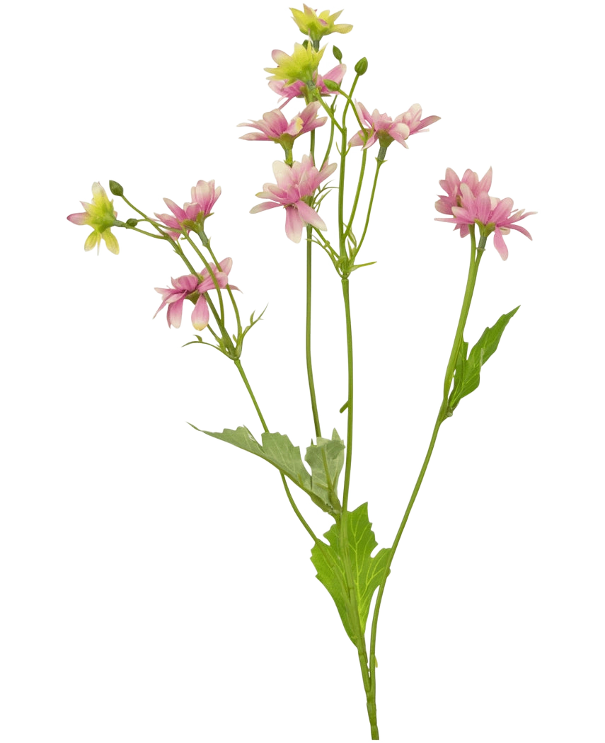 De Kunstbloem Madelief 55 cm roze is een kunstbloem met een enkele groene steel met verschillende takken, elk versierd met delicate roze en witte margrietachtige bloemen en gekartelde groene bladeren, afgebeeld tegen een witte achtergrond.