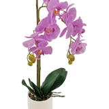 De Kunst Orchidee 52 cm lila in witte pot heeft levendige lila bloemen, groene knoppen en brede donkergroene bladeren, gerangschikt in een stijlvolle witte pot tegen een effen witte achtergrond.