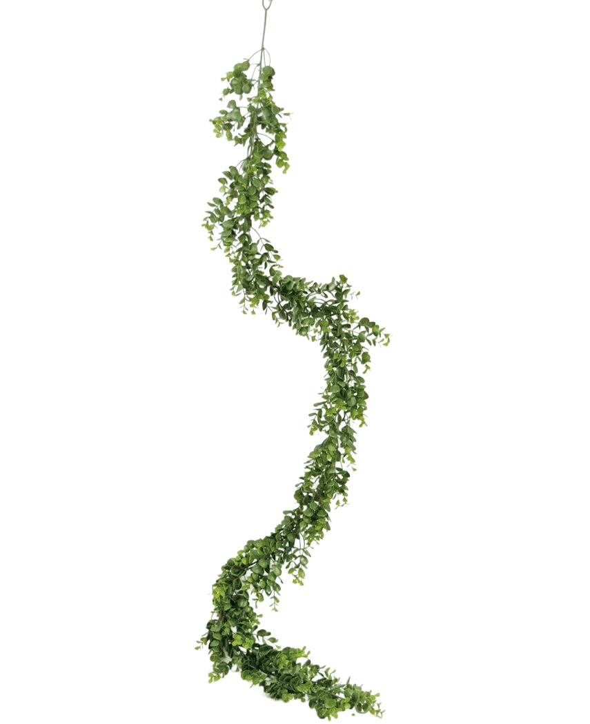 De Kunst slingerplant Pumila 182 cm heeft een lange, kronkelende groene liaan met kleine blaadjes, die verticaal hangt tegen een effen witte achtergrond.