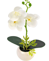 Orchidée artificielle 28 cm blanche en pot