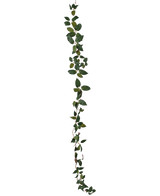 De Kunst Tradescantia Slinger Groen 180 cm, een enkele groene bladrank met kleine afgeronde blaadjes, hangt verticaal tegen een effen witte achtergrond.