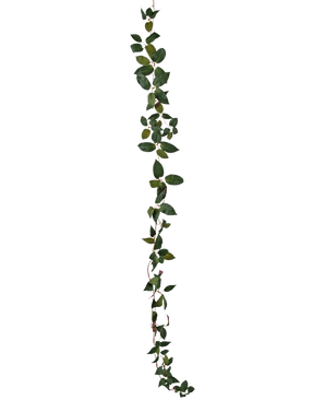 De Kunst Tradescantia Slinger Groen 180 cm is een enkele groene bladrank die verticaal staat afgebeeld tegen een effen witte achtergrond.