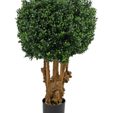 De Kunst Buxusbal Hout Romeinse stijl UV 90 cm heeft een ronde, dichte cluster van groene bladeren op meerdere bruine stengels in een zwarte plantenbak, tegen een witte achtergrond.