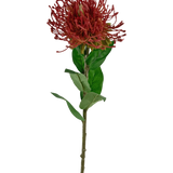 De Kunstbloem Protea 73 cm rood heeft een enkele rode speldenkussen protea met stekelige bloemblaadjes en groene bladeren op een lange, dunne steel, tegen een witte achtergrond.
