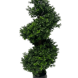 De Kunst Buxus Spiraal Romeinse stijl UV 90cm is een spiraalvormige kunst vormsnoeiplant met dicht groen blad in een zwarte pot, tegen een effen witte achtergrond.