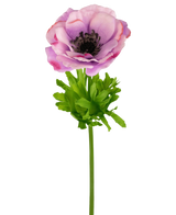 De Kunstanemoon Real Touch paars 52cm heeft een enkele paarse anemoonbloem met fijne bloemblaadjes, een donker hart en heldergroene bladeren en steel, geïsoleerd op een witte achtergrond.