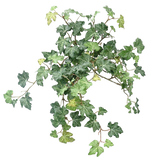 De Kunst Klimop Deluxe Groen 40cm heeft een cluster van levendige groene klimopbladeren met slingerende wijnranken tegen een effen witte achtergrond.