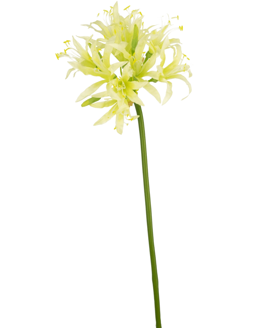 De Kunstbloem Nerine 70 cm groen heeft een lange groene steel met daarop delicate lichtgele en witte lelie-achtige bloemen, perfect als elegant zijde bloem accent in een decoratie vaas tegen een effen witte achtergrond.